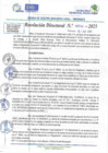 Vista preliminar de documento RD N 00740