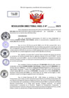 Vista preliminar de documento Resolucion Directoral N° 003516-2025