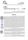 Vista preliminar de documento Resolucion Directoral N° 003524-2025