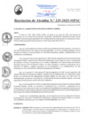 Vista preliminar de documento RA225-2025