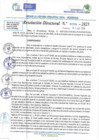 Vista preliminar de documento RD N 00768