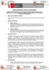 Vista preliminar de documento TDR