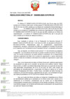Vista preliminar de documento RD Nº D000055-2025-DE