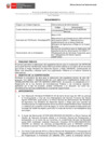 Vista preliminar de documento Requerimiento