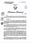Vista preliminar de documento RD N°349-2025-DG-DIRIS-LC