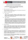 Vista preliminar de documento TDR V2
