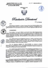 Vista preliminar de documento RD N°355-2025-DG-DIRIS-LC