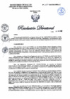 Vista preliminar de documento RD N°357-2025-DG-DIRIS-LC