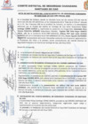 Vista preliminar de documento (01) SESION ENERO CODISEC (instalación comité)