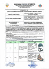 Vista preliminar de documento EE.TT N 2065