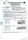 Vista preliminar de documento TDR 2109