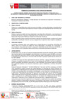 Vista preliminar de documento TDR - 2876