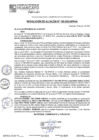 Vista preliminar de documento RA25N195