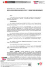Vista preliminar de documento RESOLUCION DIRECCION EJECUTIVA-000487-2025-DE