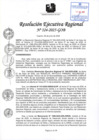 Vista preliminar de documento RER 324-2025-GOB