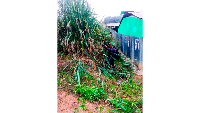 Trabajos de desmalezado y deshierbe en el terreno municipal Psje. Las Flores - Loma de San Pedro.