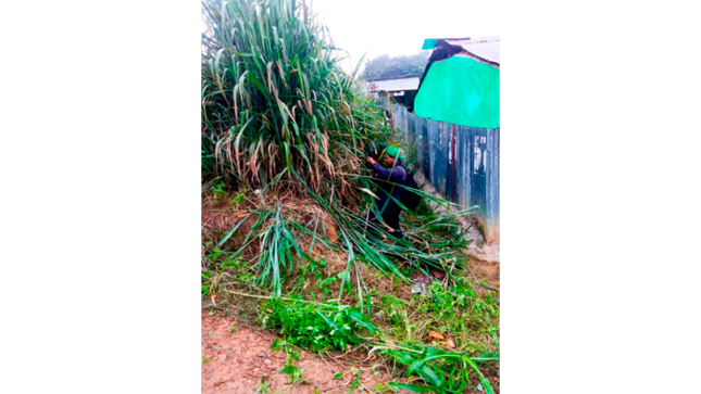 Trabajos de desmalezado y deshierbe en el terreno municipal Psje. Las Flores - Loma de San Pedro. 