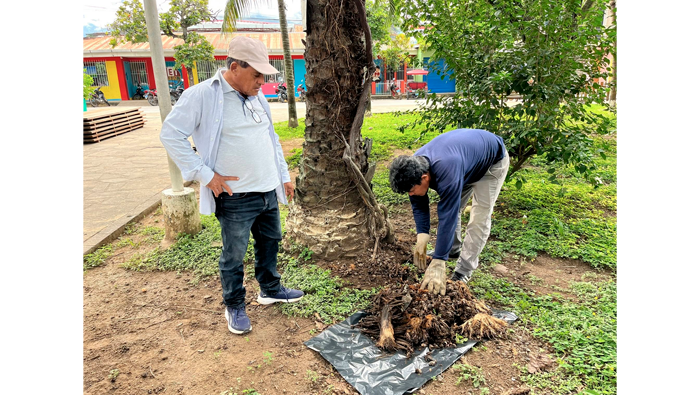 Trabajos de limpieza y reparaci贸n en el parque Suchiche.