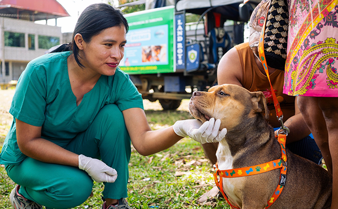 fotos de la campaña gratuita de desparasitación para mascotas