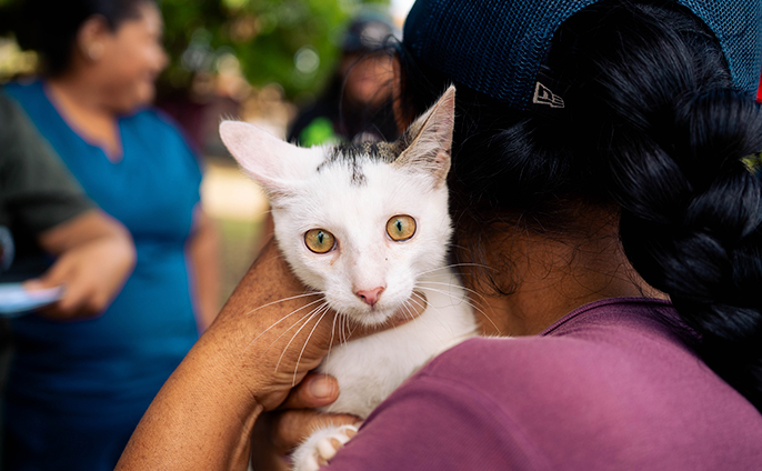 fotos de la campaña gratuita de desparasitación para mascotas