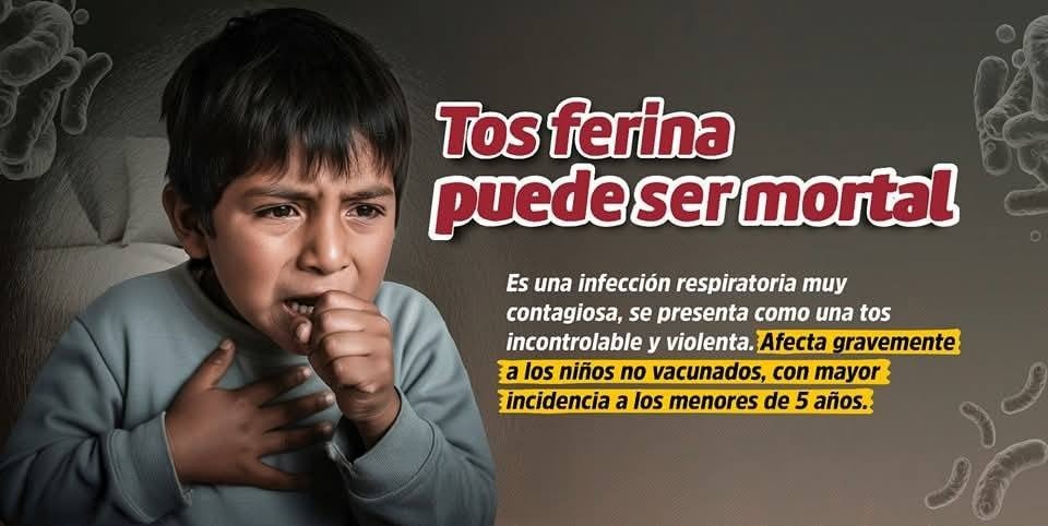 cuidado tos ferina