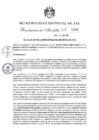 Vista preliminar de documento 20250424093249_12118_R_A_N°0300-2025.pdf