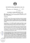 Vista preliminar de documento 20250411103819_12074_R_A_N°0271-2025.pdf