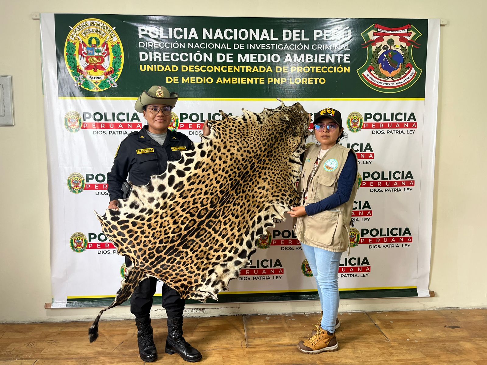 En balneario de Santa Clara de Nanay la Gerfor decomisa piel de jaguar.