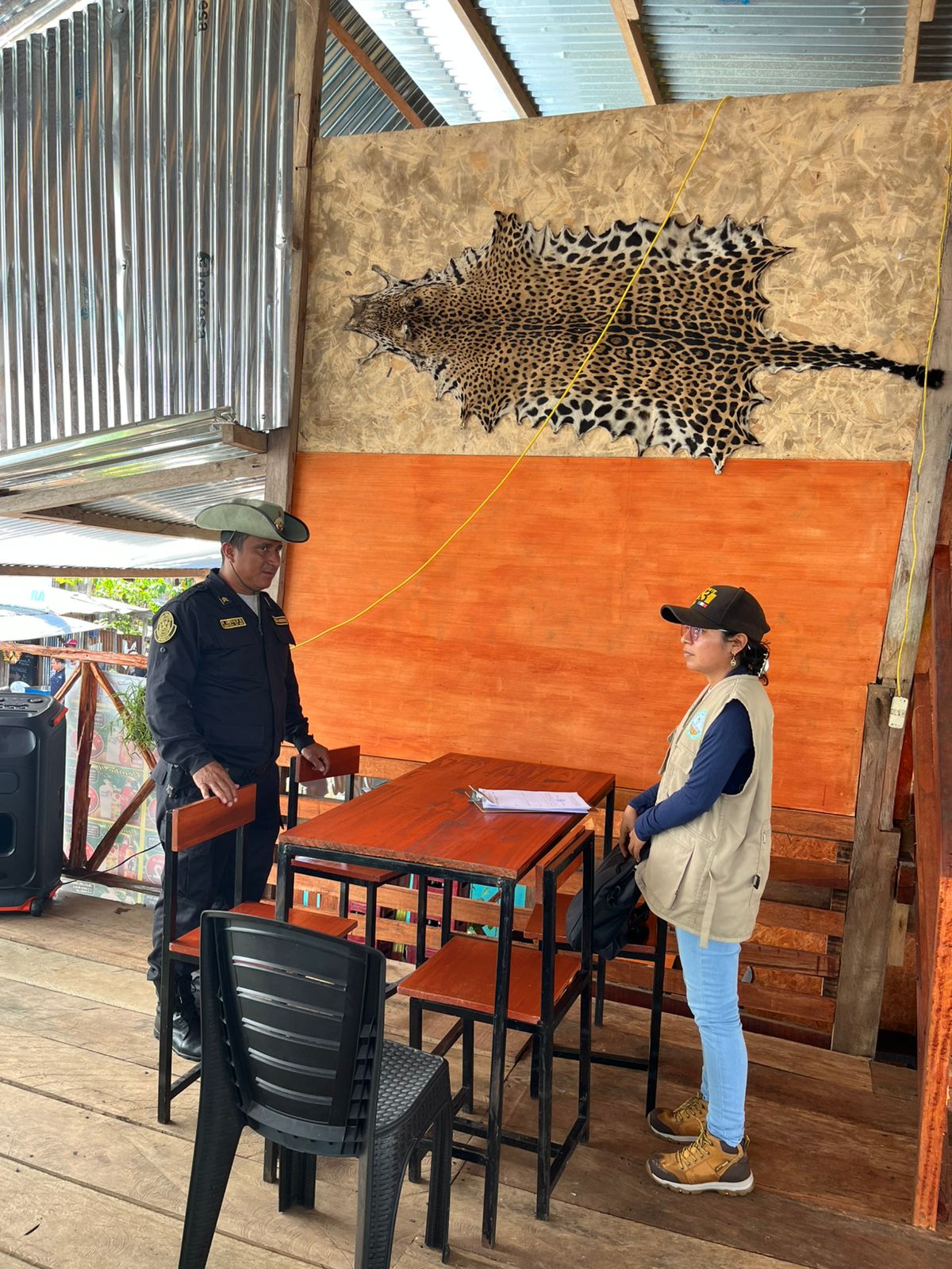 En balneario de Santa Clara de Nanay la Gerfor decomisa piel de jaguar.