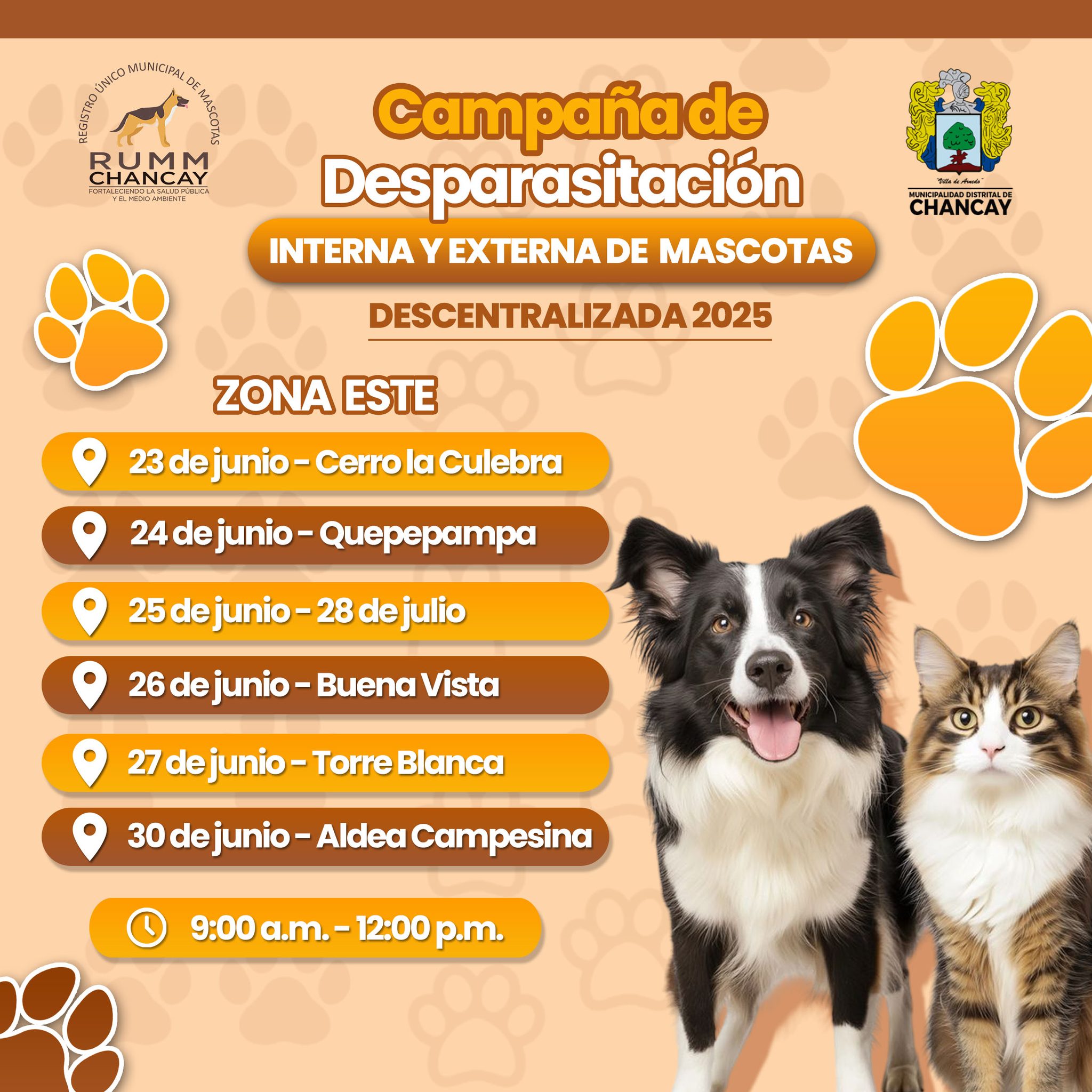 noticia411