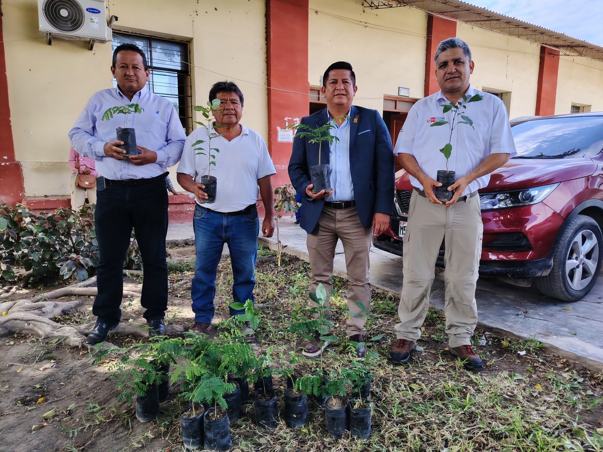 PEJEZA impulsa la mejora del ornato en Tumán con entrega de plantones ornamentales