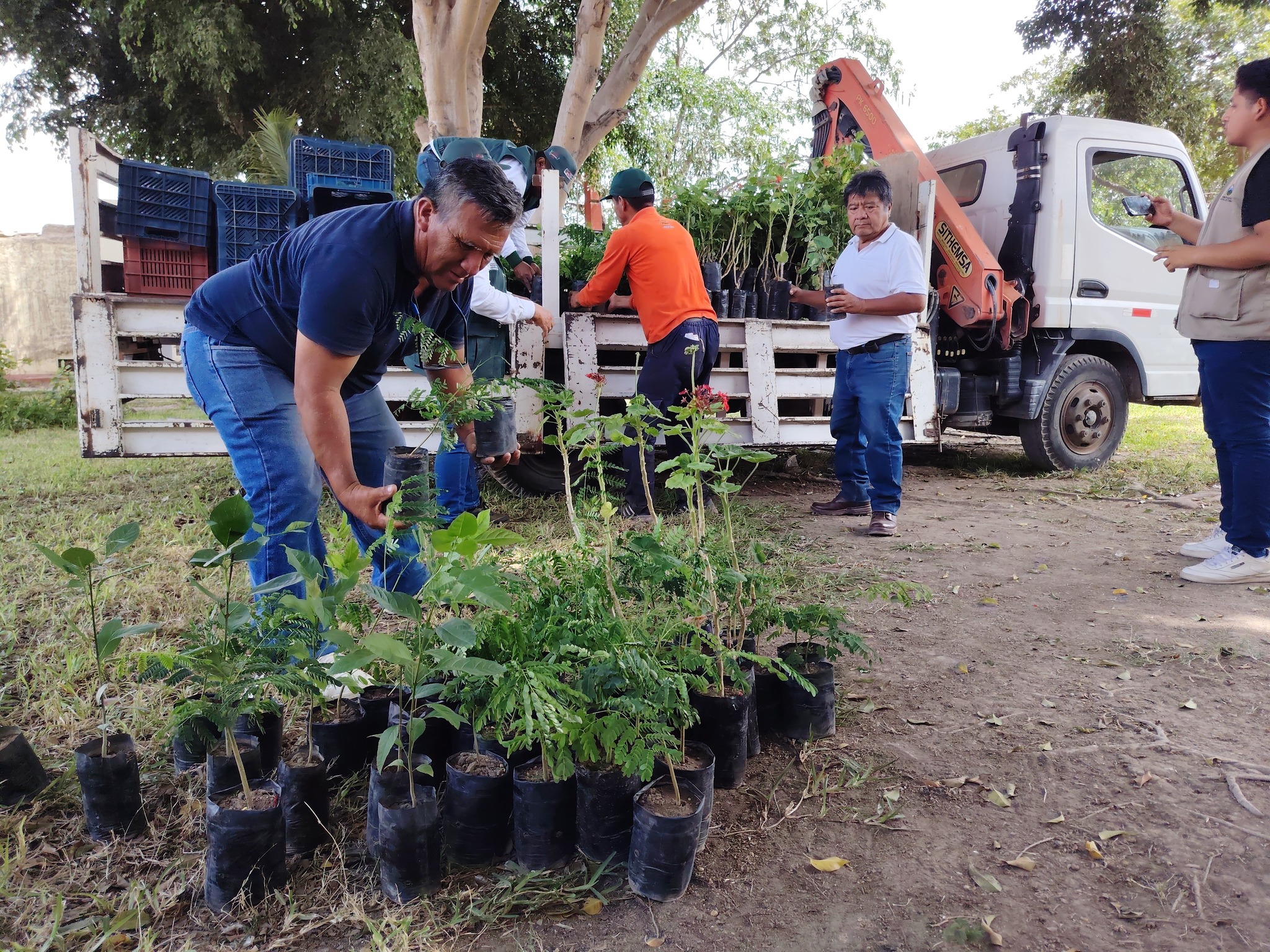 PEJEZA impulsa la mejora del ornato en Tumán con entrega de plantones ornamentales