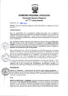 Vista preliminar de documento RER 226-2025-GRA/GR