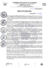 Vista preliminar de documento Resolución Directoral N.° 313-2025-HSR-AND-DE