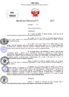 Vista preliminar de documento Resolucion Directoral N° 003544-2025