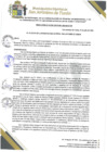 Vista preliminar de documento 84 