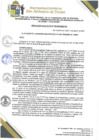Vista preliminar de documento 95