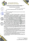 Vista preliminar de documento 99