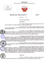 Vista preliminar de documento Resolucion Directoral N° 003549-2025