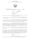 Vista preliminar de documento RD-UGEL-SURCUBAMBA-2025-000393