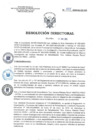 Vista preliminar de documento RD N°058-2025-SA-DG-INR-1