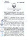 Vista preliminar de documento RD N°075-2025-SA-DG-INR