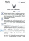 Vista preliminar de documento RD N°087-2025-SA-DG-INR