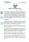 Vista preliminar de documento RD N°089-2025-SA-DG-INR