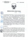 Vista preliminar de documento RD N°091-2025-SA-DG-INR