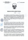 Vista preliminar de documento RD N°092-2025-SA-DG-INR