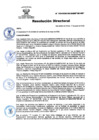 Vista preliminar de documento RD N° 106-2025-DG-INSM HD-HN