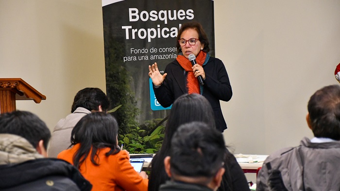 fondo bosques tropicales