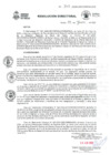 Vista preliminar de documento RD 347-2025GRC/DIRESA/DG