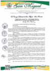 Vista preliminar de documento ORDENANZA MUNICIPAL Nro. 012-2025-MDSM/CM